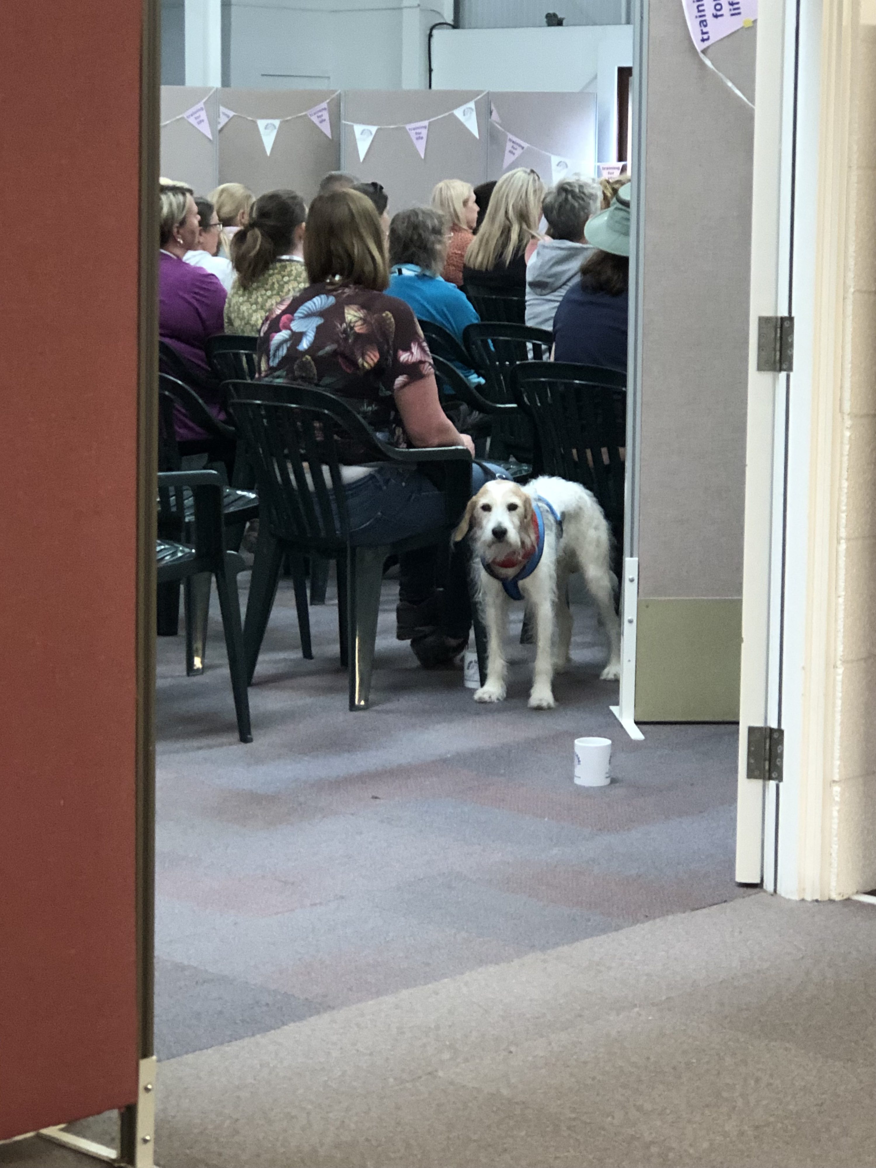 hall.jpg