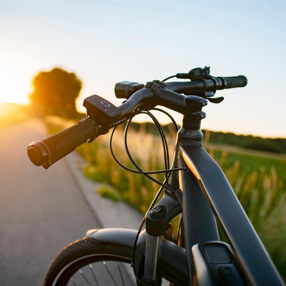 wye-bikes.jpg